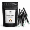Sound Burster (Standard) | Sound Cracker For Camping