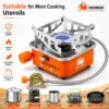 Portable Camping Gas Stove With Hose (Connection Tube)