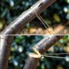 Stainless Steel Wire Saw | Portable Survival Saw for Camping, Gardening & Outdoor Adventures